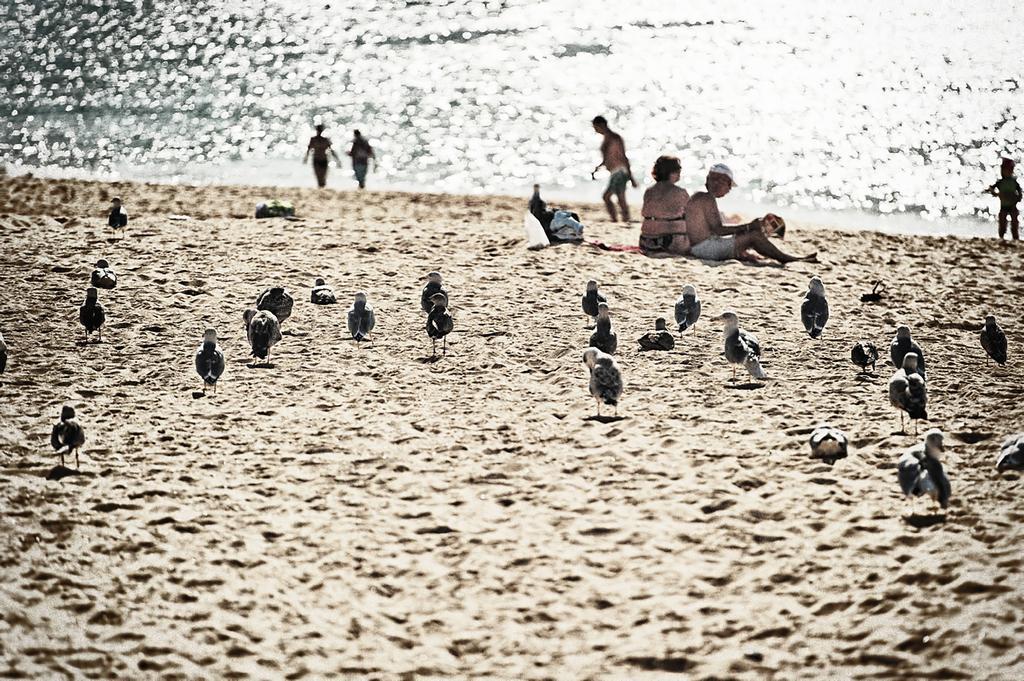 Rosamar Apartamentos Armação de Pêra Kültér fotó